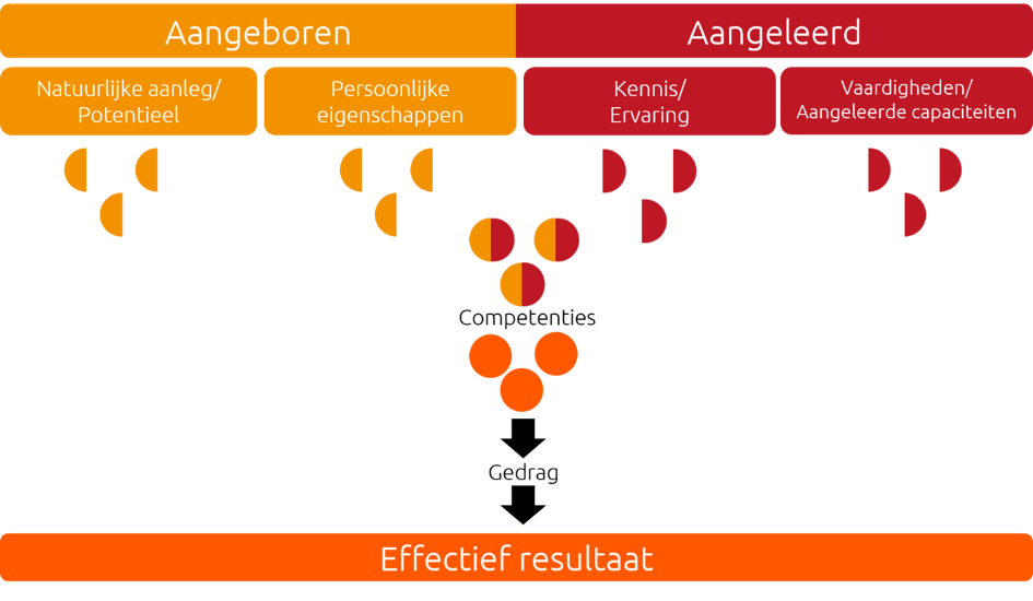 Persoonlijk profiel analyse HR instrument