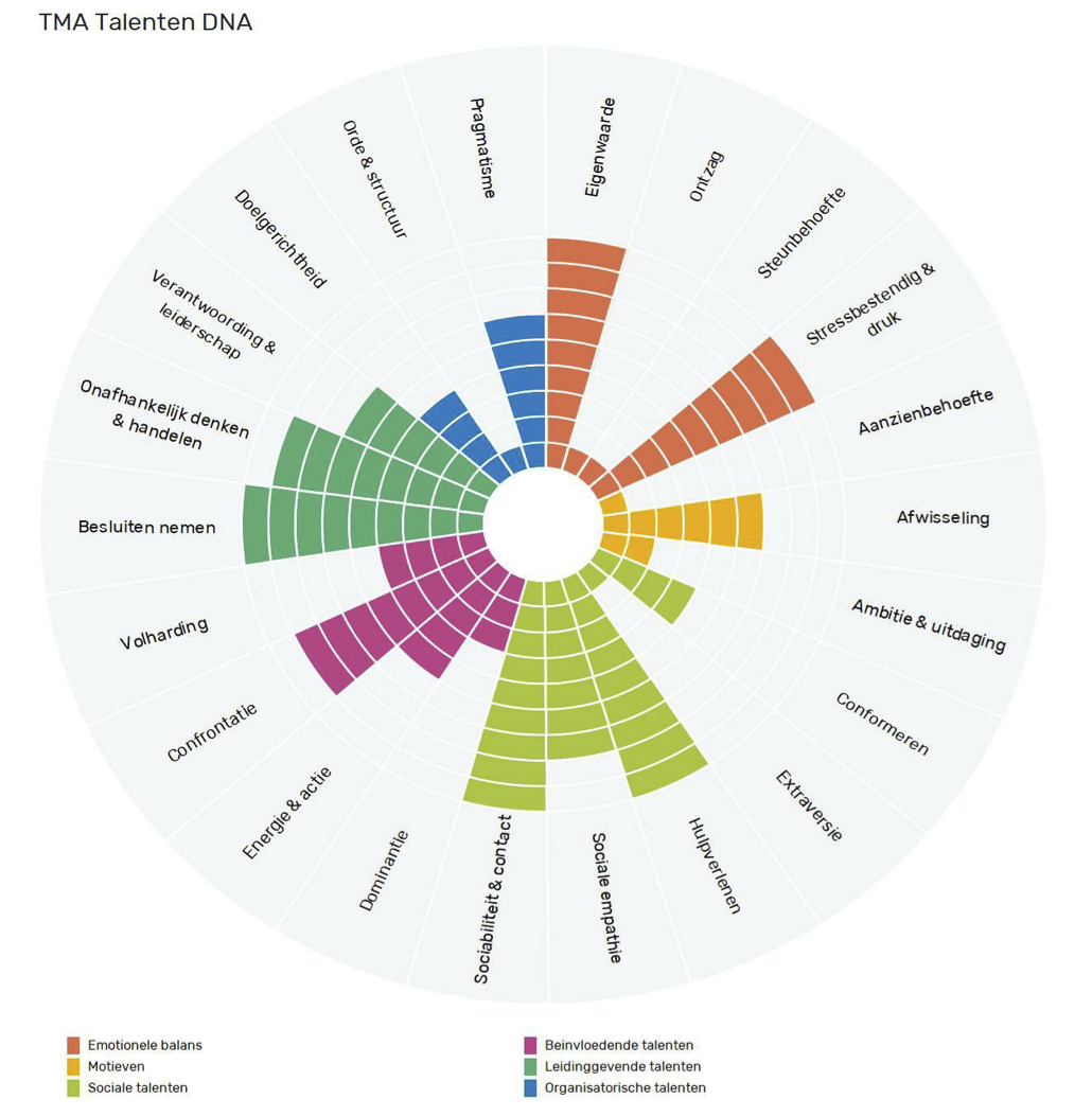 Talentenanalyse TMA