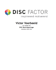DISC voorbeeldrapport