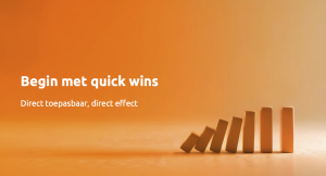 Quick wins Intenza succesfactor