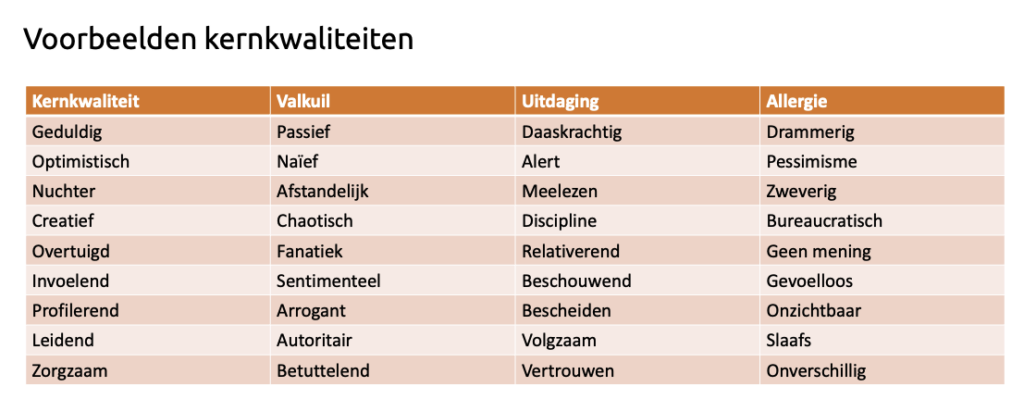 Kernkwadrant voorbeeld 